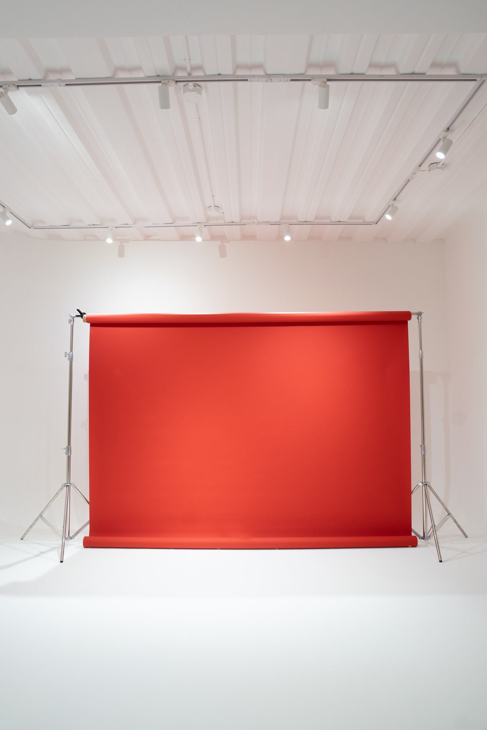 Professional lighting and seamless paper backgrounds